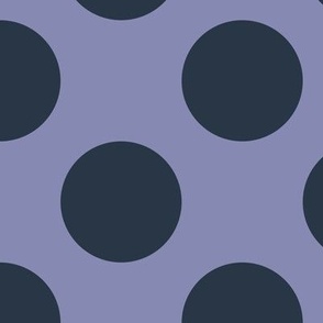 Large Polka Dot Pattern - Cool Grey and Medium Charcoal