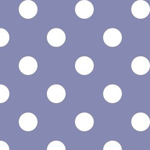 Big Polka Dot Pattern - Cool Grey and White