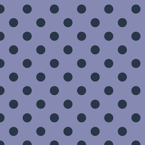 Polka Dot Pattern - Cool Grey and Medium Charcoal