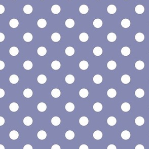 Polka Dot Pattern - Cool Grey and White