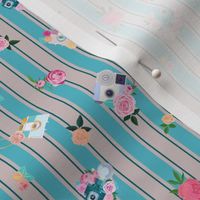 Pretty as a Picture  Vintage Camera Stripe Taupe and Teal