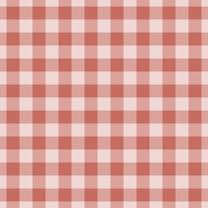 Gingham Pattern - Terracotta and Peach Champagne