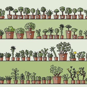 Plants in jars, Seedlings in greenhouse