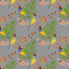 Gouldian Finch, Love Birds - mid grey, medium 