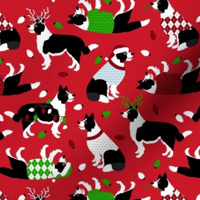 Christmas Border Collie Red