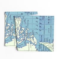 Blue Vintage World  Map