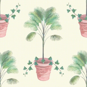 Palm in  terracotta pot
