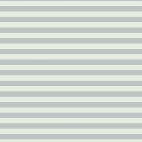 Horizontal Bengal Stripe Pattern - Sea Salt and Skyline Grey