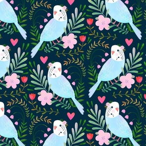 Budgie Romance in pink and navy