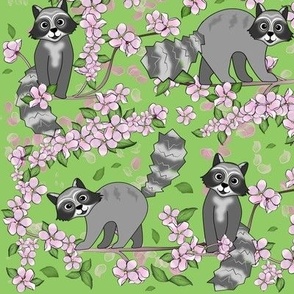 Raccoons and Apple Blossoms on Sage green