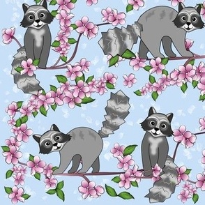 Raccoons and Apple Bloosom on blue
