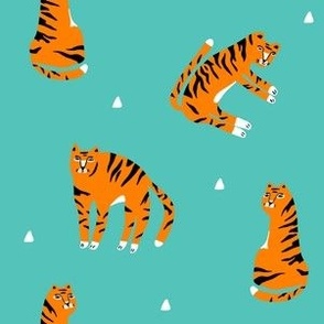 Tigers and triangles