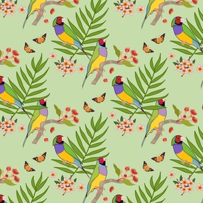 Gouldian Finch, Love Birds - jade green, medium 