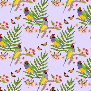 Gouldian Finch, Love Birds - soft lilac, medium 