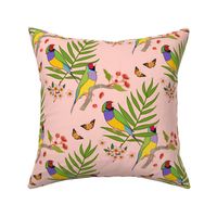 Gouldian Finch, Love Birds - coral pink, medium 