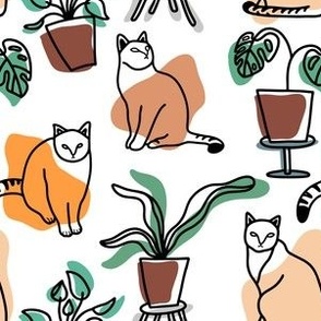 Cats and plants