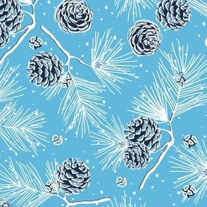 Spruce cones on blue background 