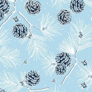 Spruce cones on light blue background