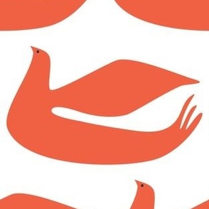 Dove / orange
