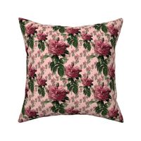 Redoute' Roses _ Sweet Pink _Copyright Peacoquette 2021