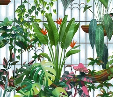 Glass House Tropicals