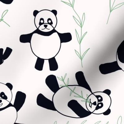 Panda Bears