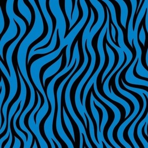 Zebra Stripe Pattern - True Blue and Black