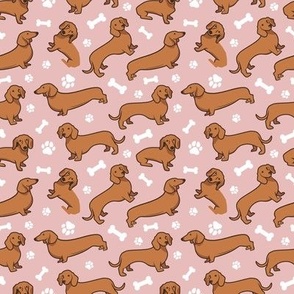 Dachshund Dogs Bones and Paws