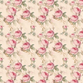 Pink beautiful roses,shabby chic floral pattern