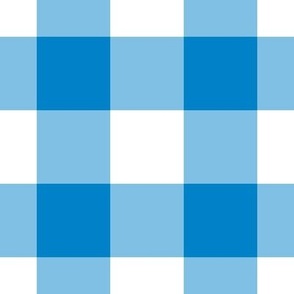 Jumbo Gingham Pattern - True Blue and White