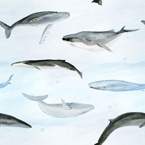 Watercolor Endangered and Come Back Whales