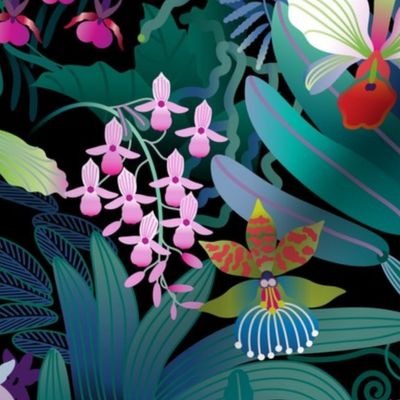 Tropical Orchid collection - medium