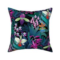 Tropical Orchid collection - medium