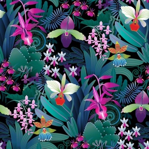 Tropical Orchid collection - medium