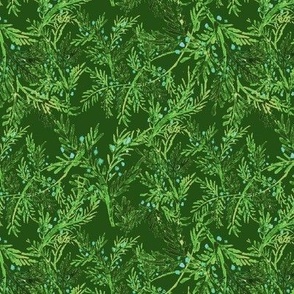 Cedar Sprigs -  Green