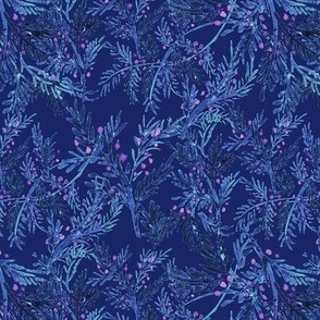Cedar Sprigs - Blue on Blue