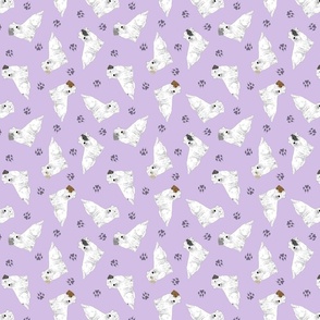 Tiny Sealyham terriers - purple
