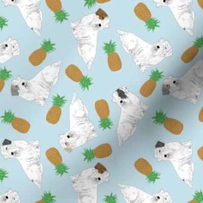 Tiny Sealyham terriers - pineapples