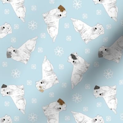 Tiny Sealyham terriers - winter snowflakes