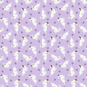 Tiny tailed Sealyham terriers - purple