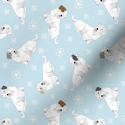 Tiny tailed Sealyham terriers - winter snowflakes