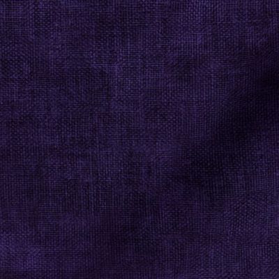 Dark Velvety Cyber Grape Purple