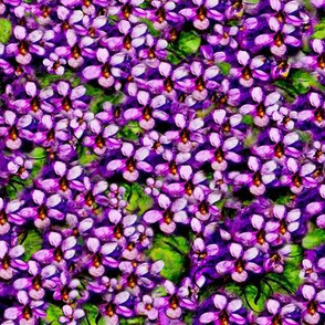 Meadow of Violets
