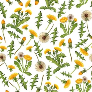 12" Vintage Dandelions Blossoms And Leaves Wildflower Meadow 2 - white