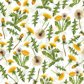 Vintage Dandelions Blossoms And Leaves Wildflower Meadow 2 - white double layer