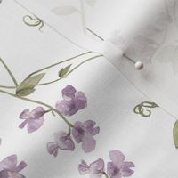 12" Sweet Peas Summer Wildflower Meadow - Peas Fabric,  on white