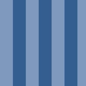 Large Vertical Awning Stripe Pattern - Dusty Blue and Lapis Blue