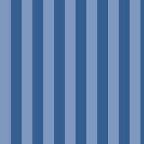 Vertical Awning Stripe Pattern - Dusty Blue and Lapis Blue