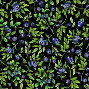 10" Watercolor Blueberry and Leaves Meadow- Vintage Blueberries on black Fabric