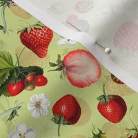 10" Antique Watercolor Strawberry Flower Meadow- Vintage Strawberries on spring green Fabric Double layer